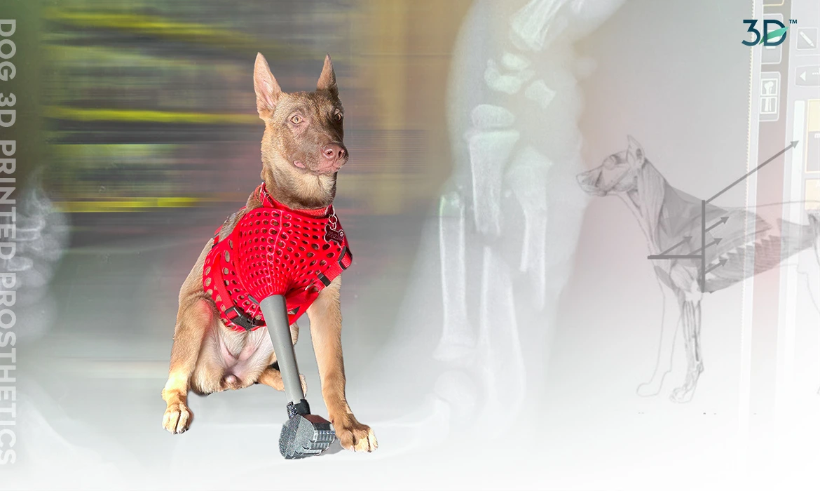 3D Printed Prosthetics