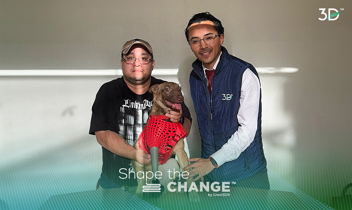 Shape the change by Gravt3D