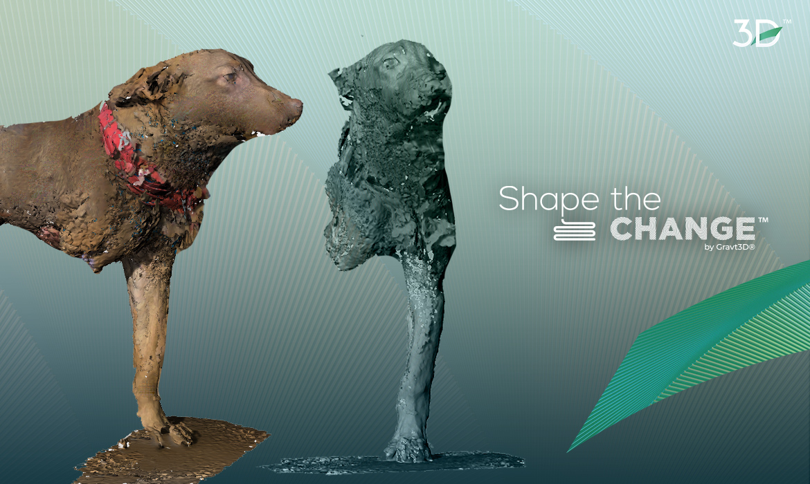 Escaneo 3D, Shape the change by Gravt3D